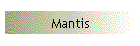 Mantis