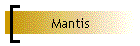 Mantis