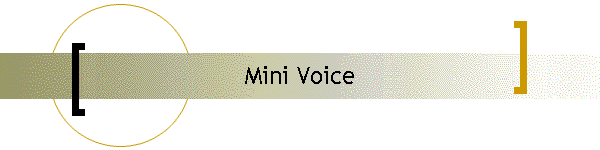 Mini Voice