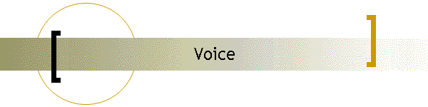 Voice